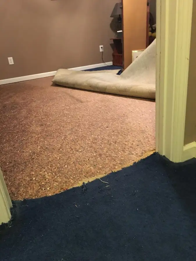 Carpet pad removal revealing water damage during Drying & Dehumidification in Loughman