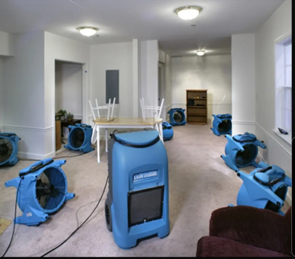 Air movers and dehumidifier setup for Water Extraction & Removal in Loughman