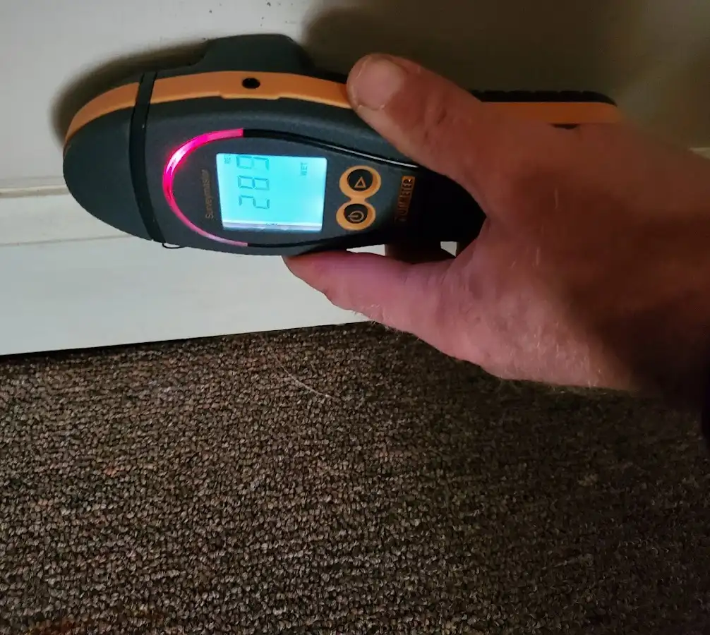 Moisture detection at baseboard during Sewage Cleanup & Sanitation in Loughman